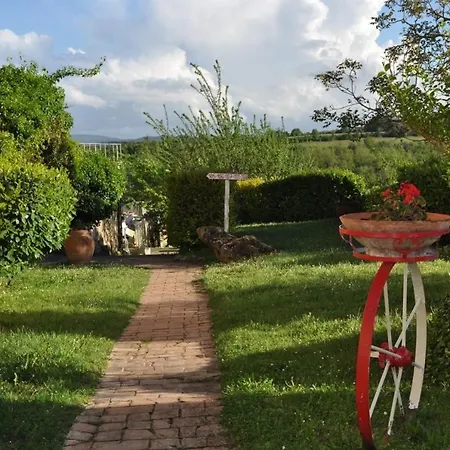 Tenuta Decimo - Dini