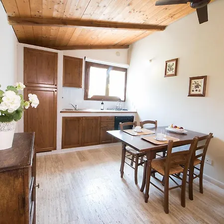 Gospodarstwo agroturystyczne Tenuta Decimo - Dini San Gimignano